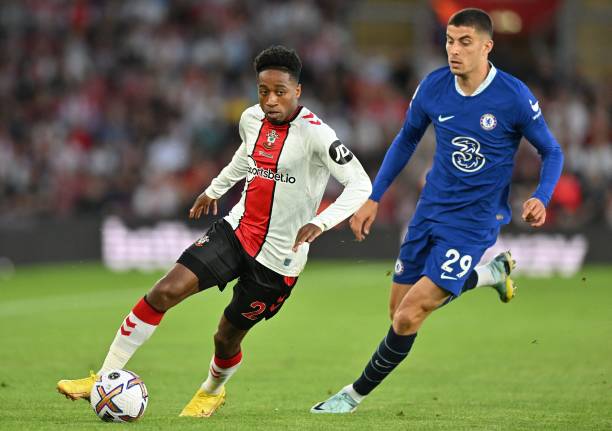 约基奇的单 约基奇的单