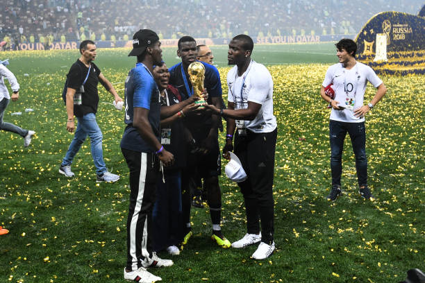 仅展示了约 仅展示了约